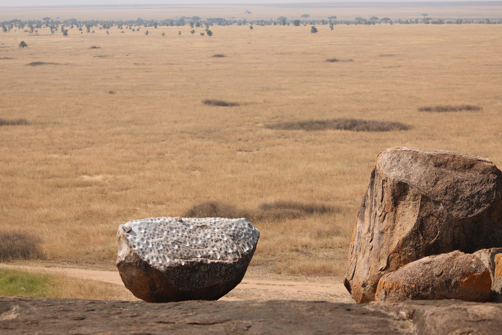 unbekannter Ort in der Serengeti