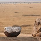 unbekannter Ort in der Serengeti