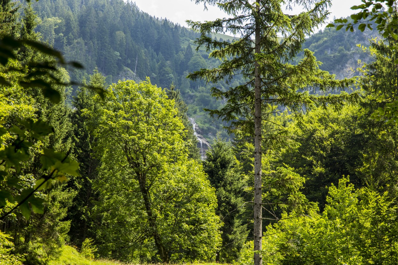 Unbekannter Wasserfall