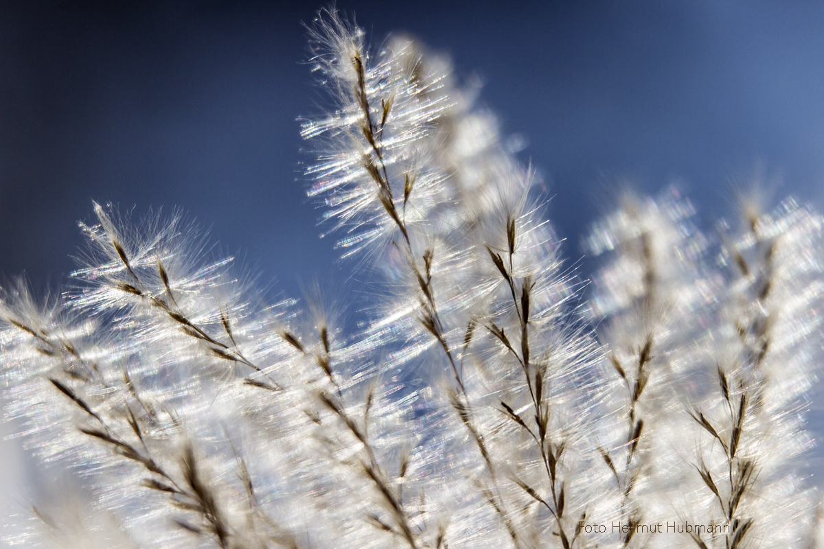 UNBEKANNTES IM LEISEN HERBSTWIND