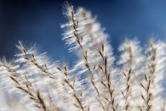 UNBEKANNTES IM LEISEN HERBSTWIND