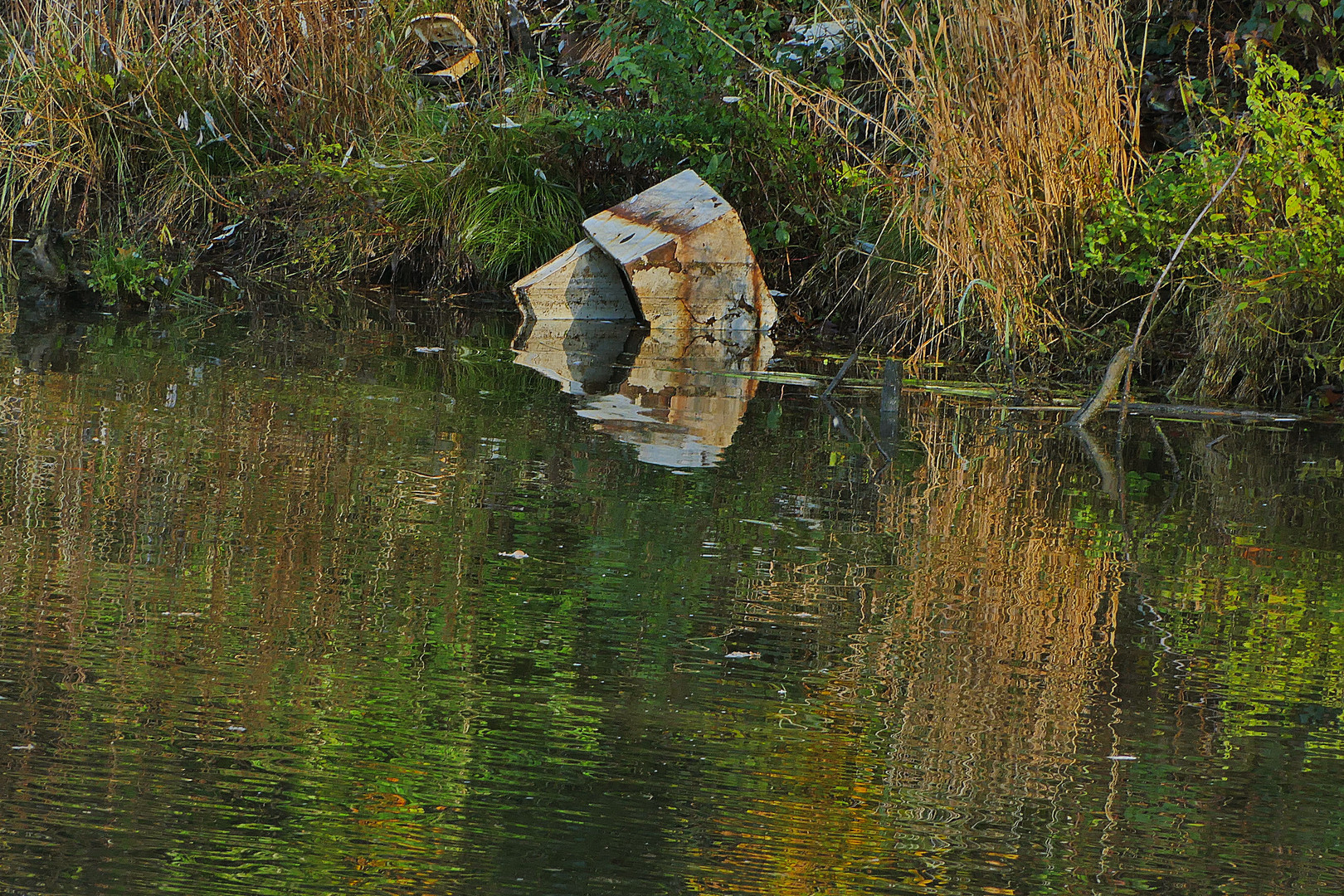 Unbekanntes im Wasser 