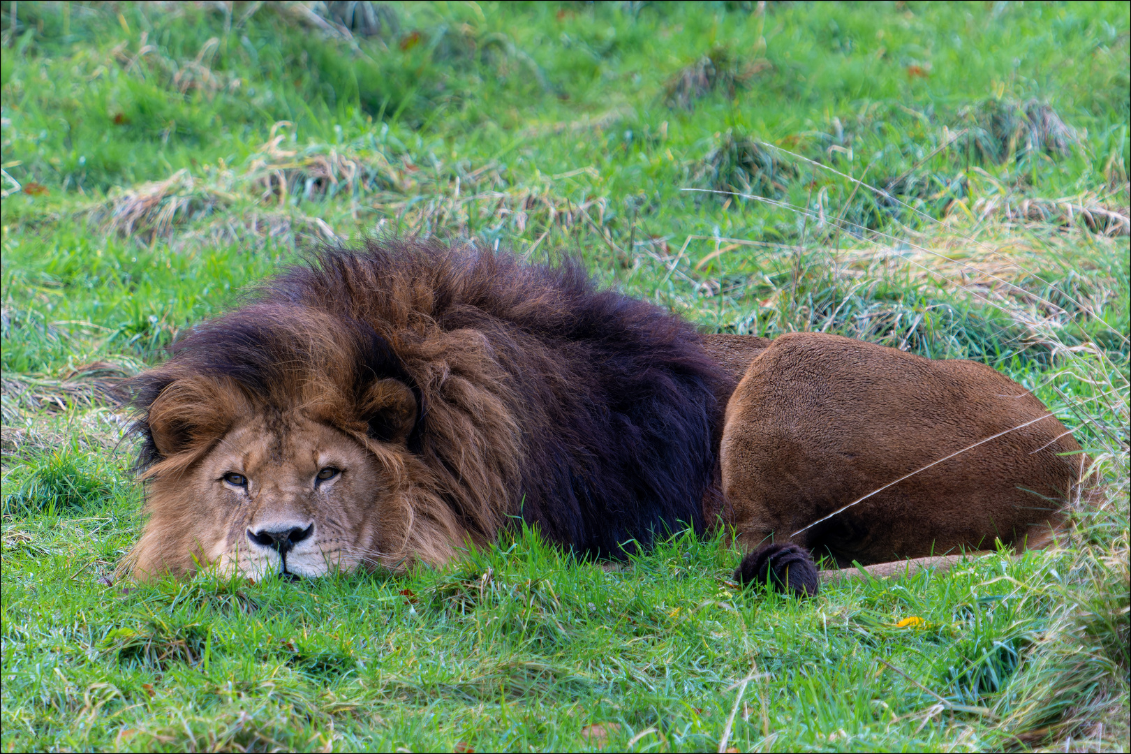 unbenannt-00159-ARW_DxO_DeepPRIMEXD-Bearbeitet Kopie