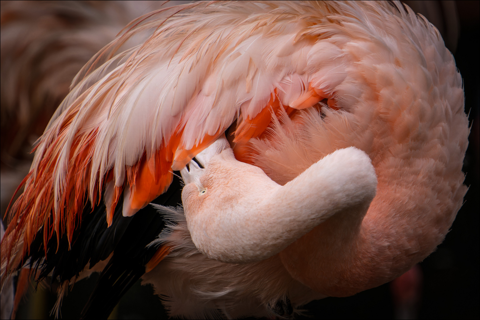 unbenannt-00517-ARW_DxO_DeepPRIMEXD-Bearbeitet Kopie