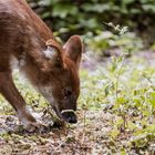 unbenannt-05234-ARW_DxO_DeepPRIME-Bearbeitet Kopie