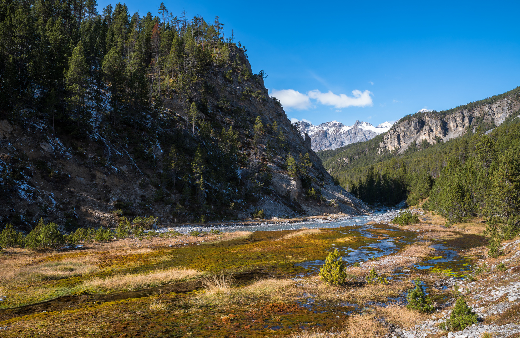 Unberührte Auenlandschaft