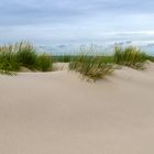 Unberührte Düne am Ellenbogen, Sylt