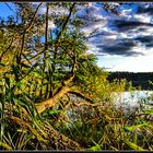 unberührte Landschaft