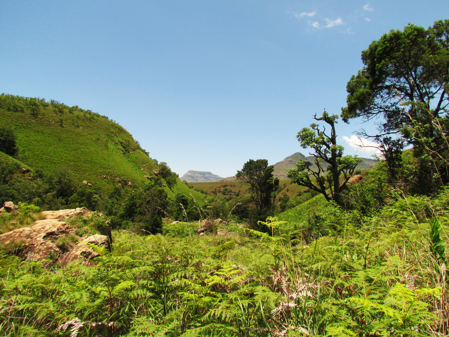 unberührte Landschaft