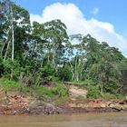 Unberührte Landschaft am Rio Tambopata in Peru