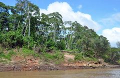 Unberührte Landschaft am Rio Tambopata in Peru