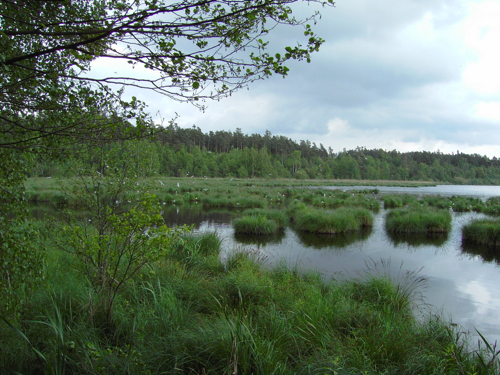 Unberührte Natur