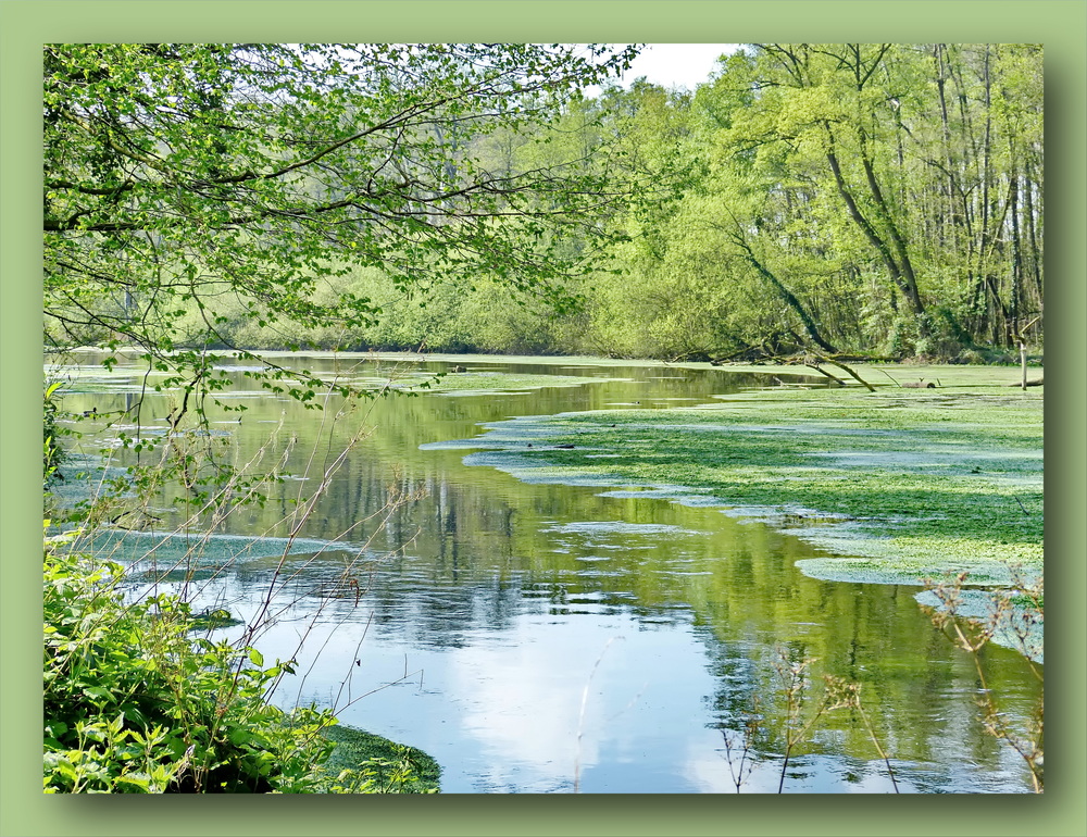 Unberührte Natur