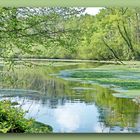 Unberührte Natur