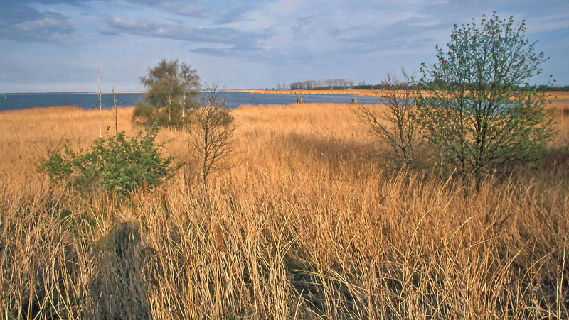 Unberührte Natur