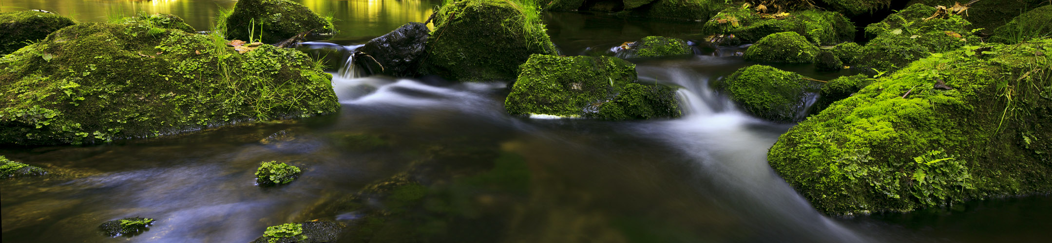 Unberührte Natur