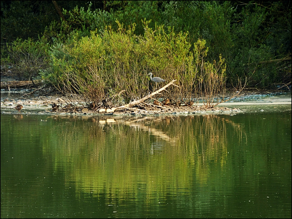 Unberührte Natur