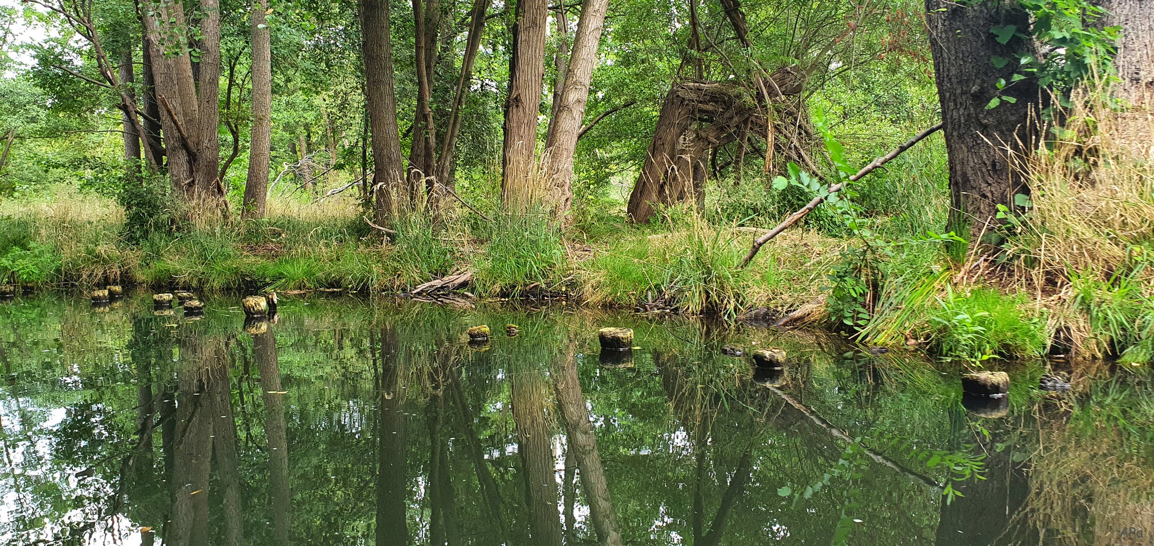 Unberührte Natur (2)