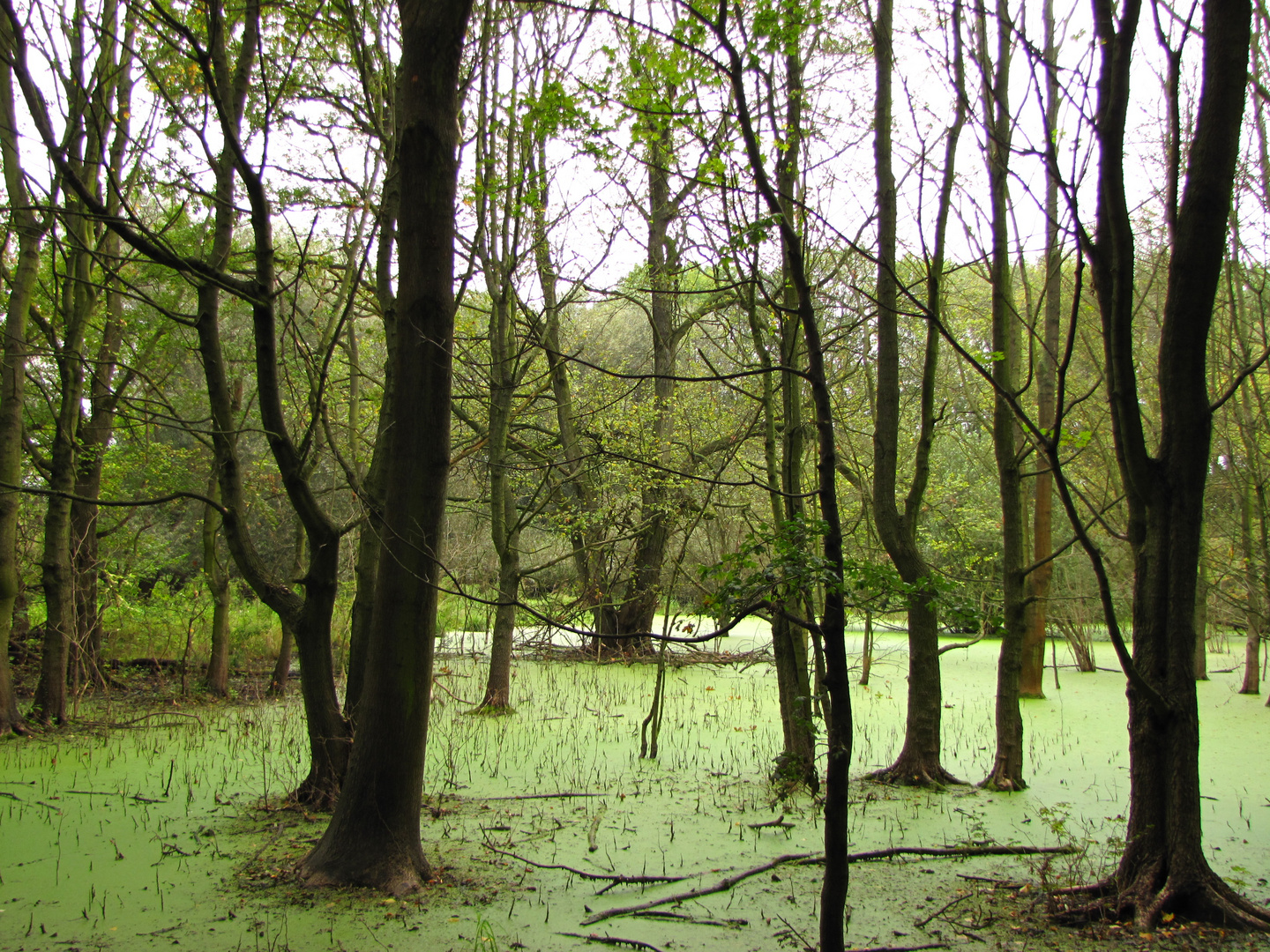 unberührte Natur