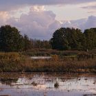 unberührte Natur