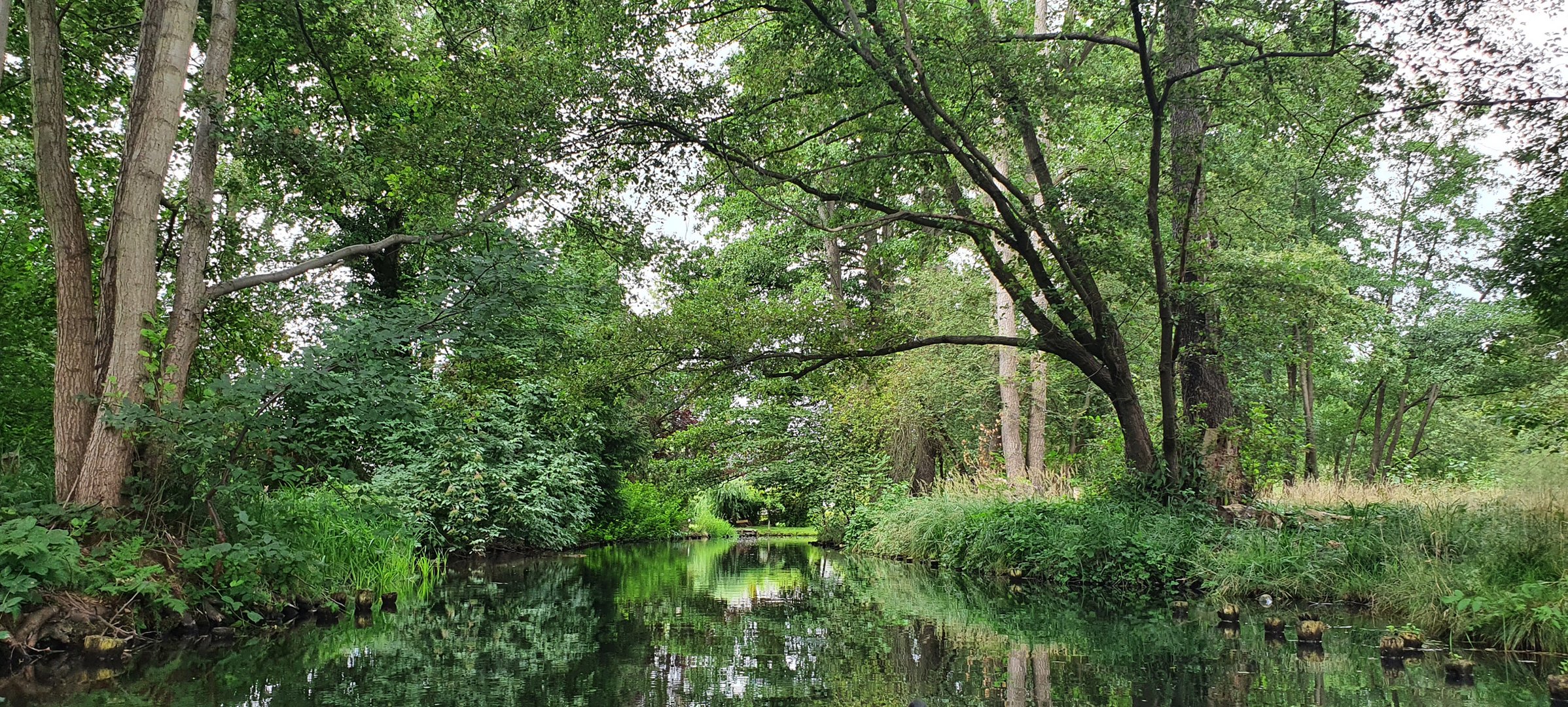 Unberührte Natur (3)