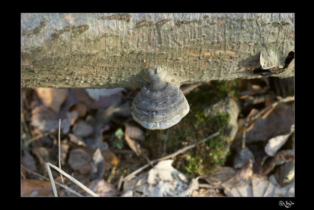 unberührte Natur