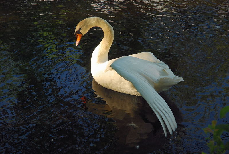 Unberührte Natur