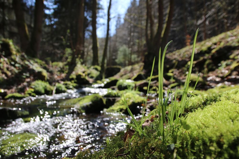 unberührte Natur