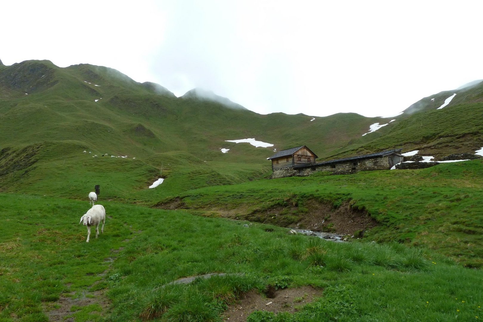 unberührte Natur