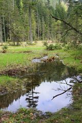 Unberührte Natur