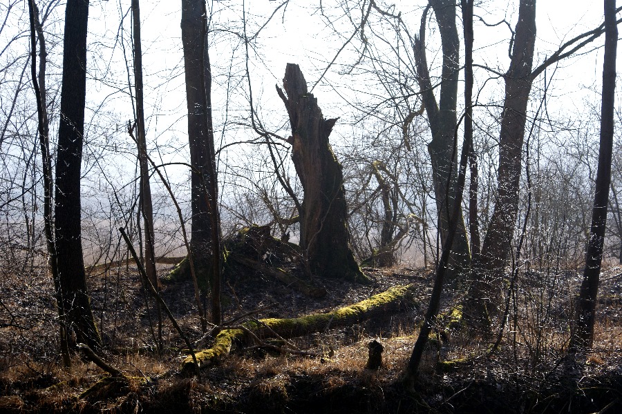 Unberührte Natur