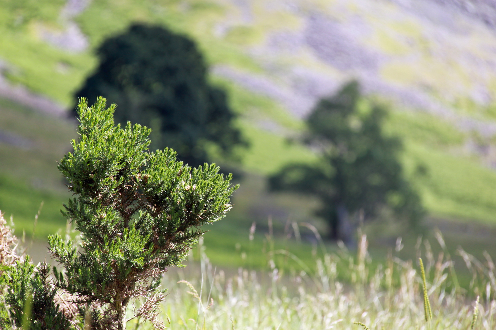 unberührte Natur