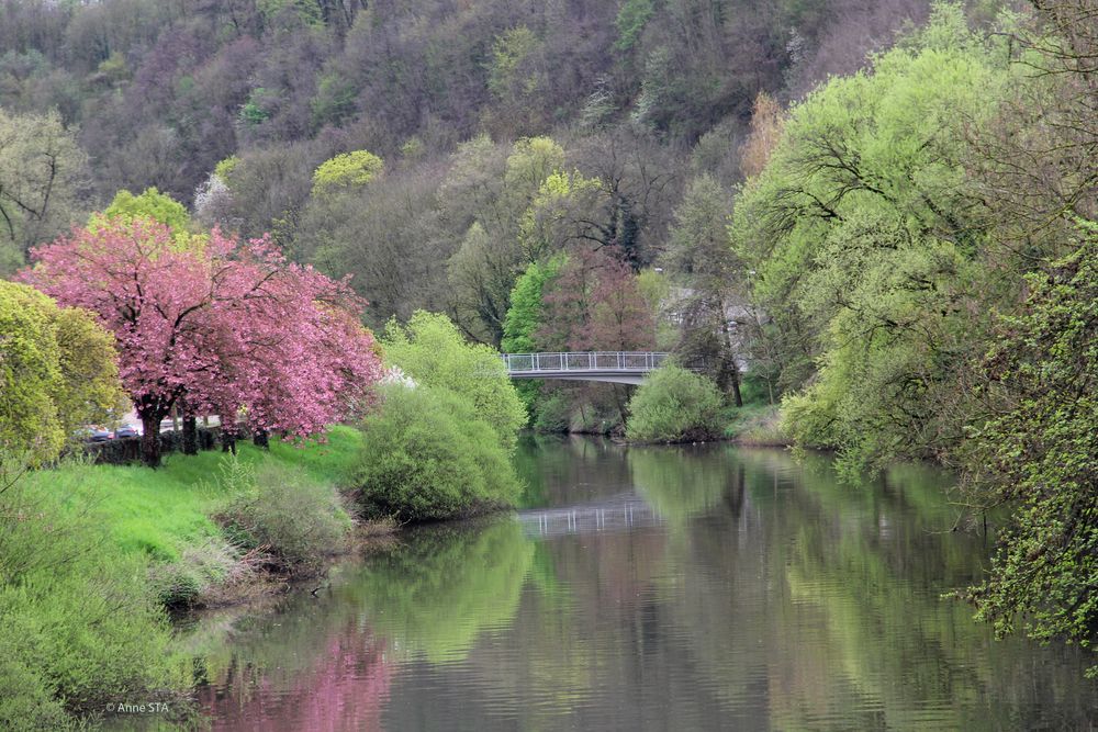 unberührte Natur