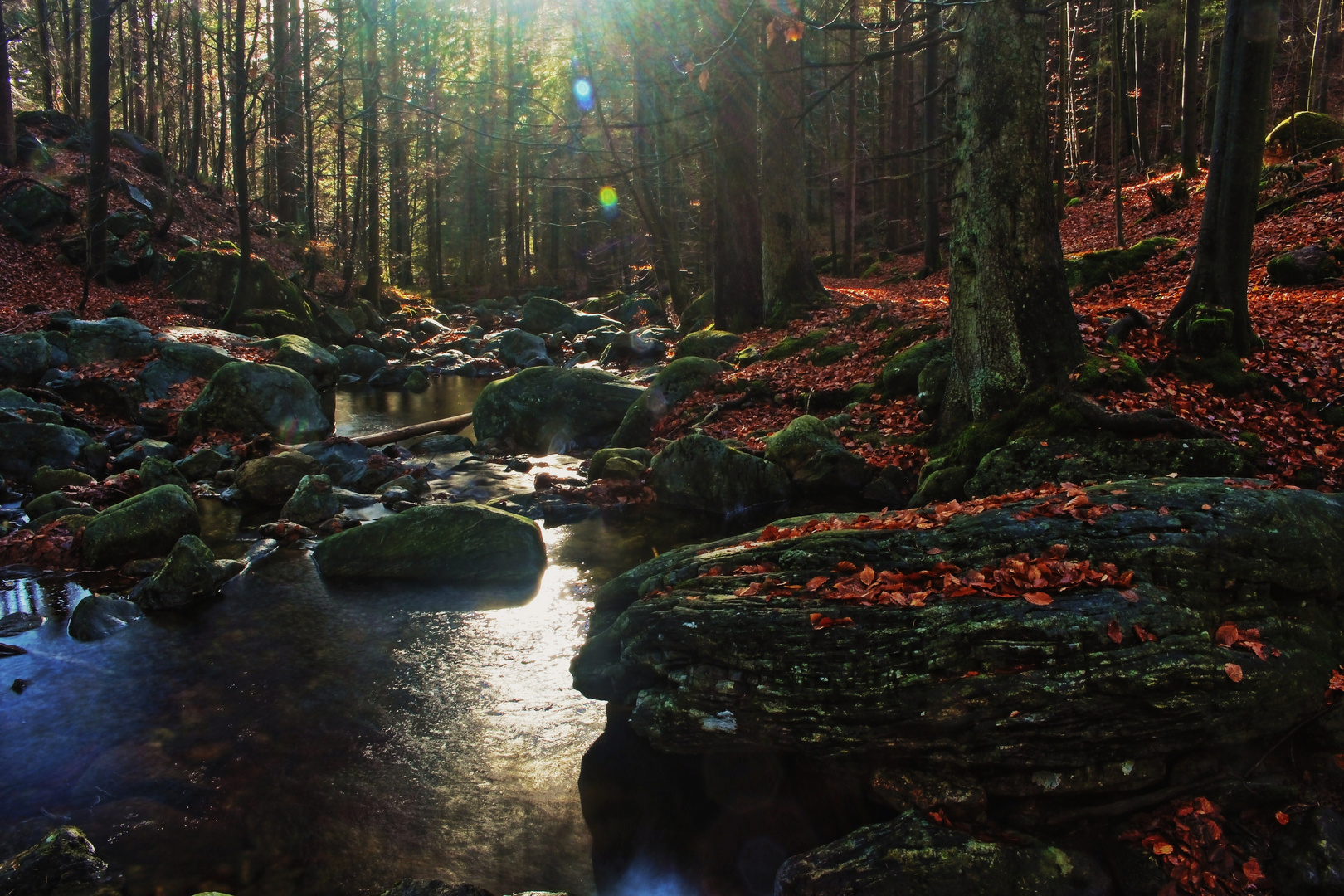 Unberührte Natur