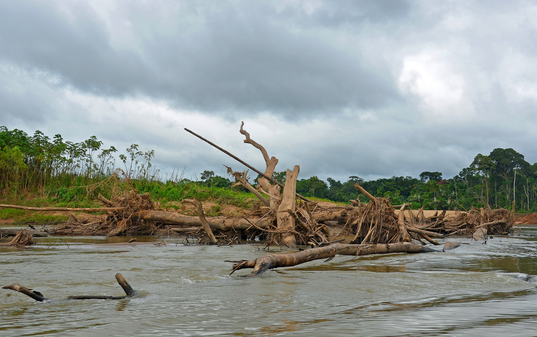 Unberührte Natur am Rio Tambopata