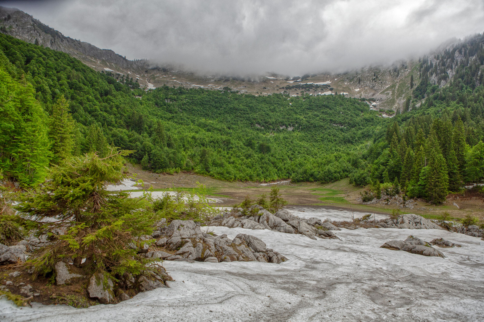 Unberührte Natur: Baerwiesdboden