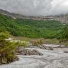 Unberührte Natur: Baerwiesdboden