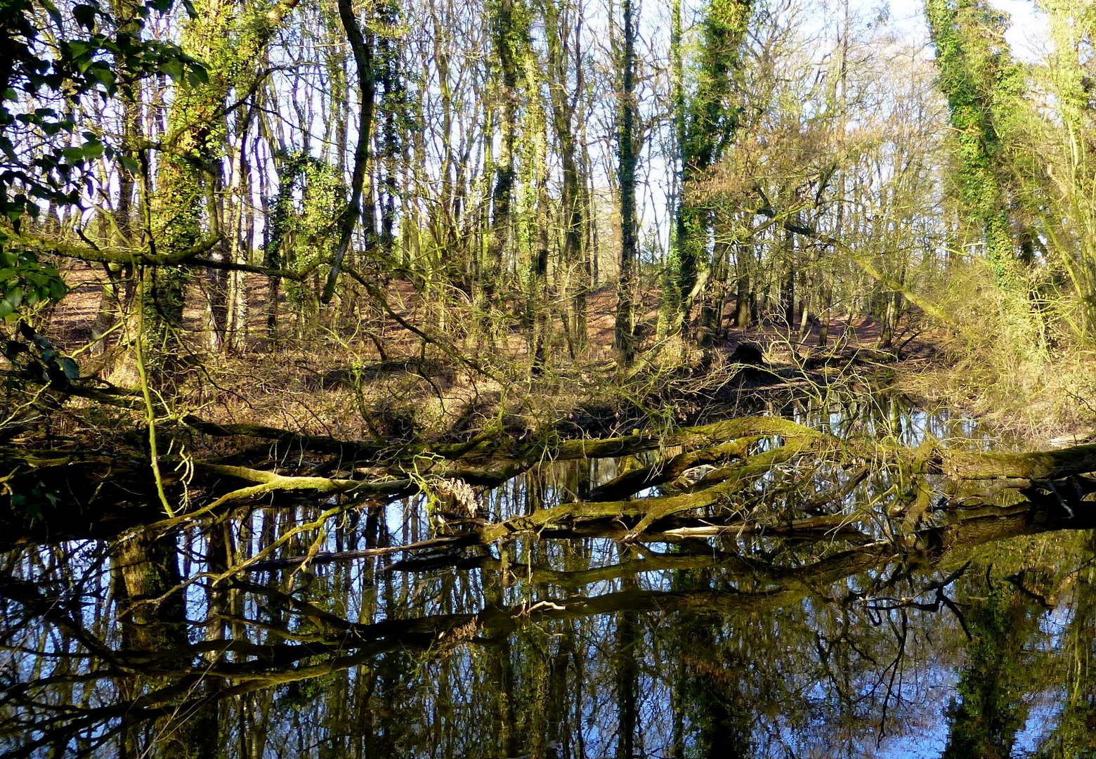 Unberührte Natur