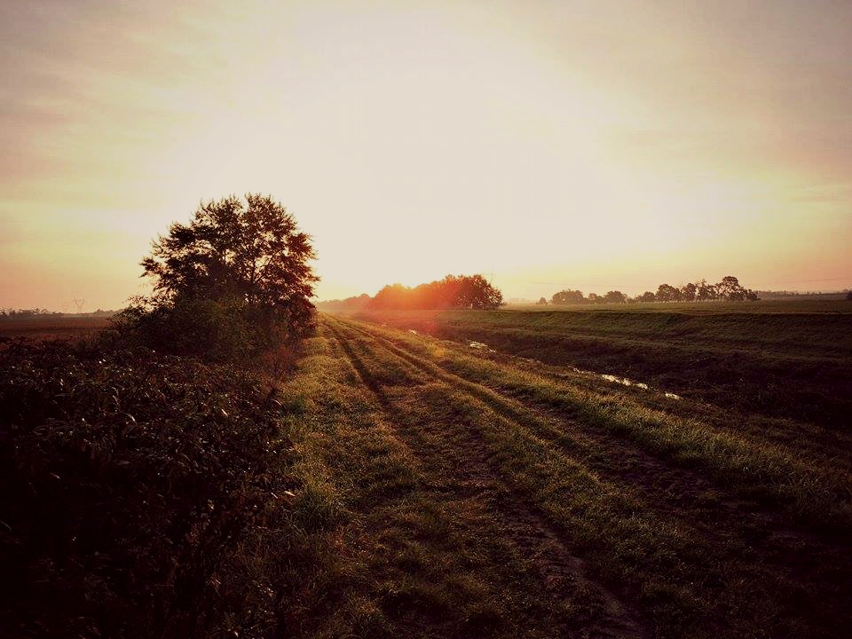 Unberührte Natur