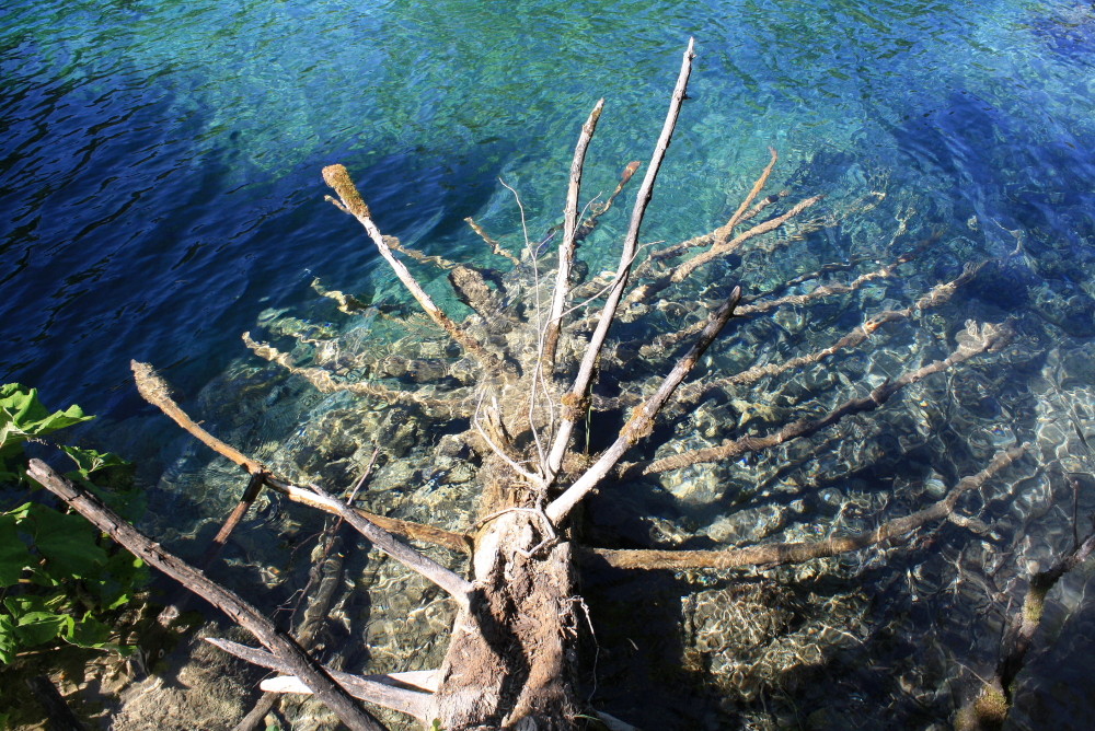 Unberührte Natur