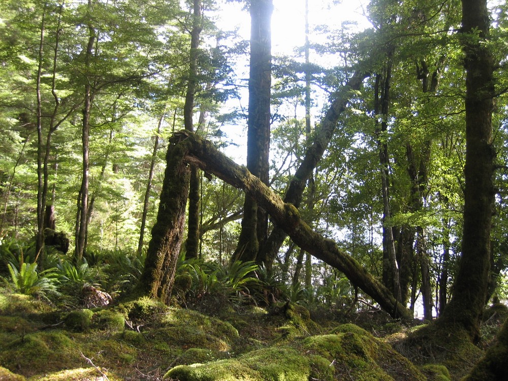 Unberührte Natur