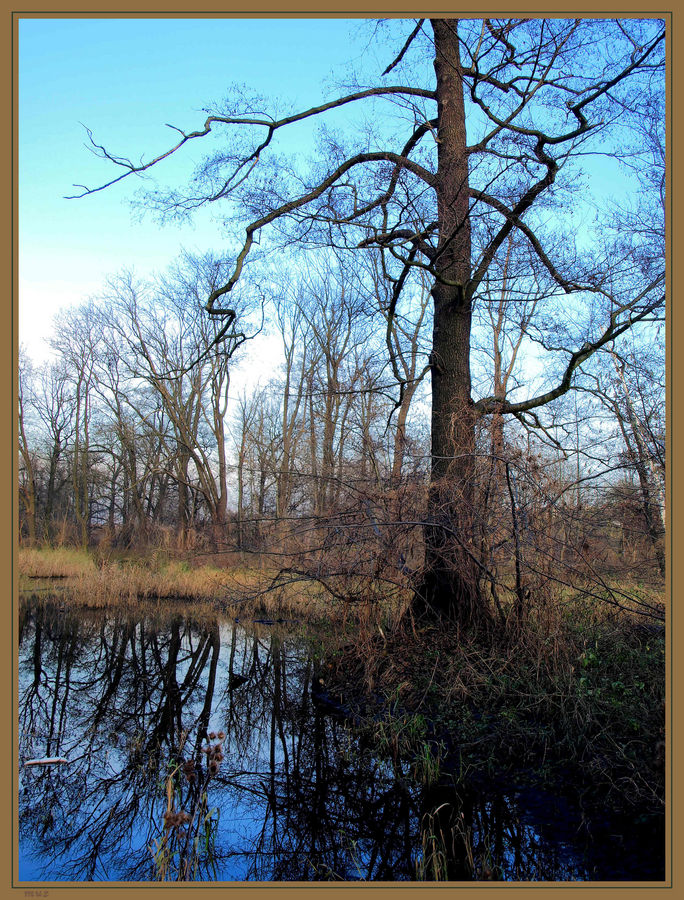 unberührte Natur im Wuhletal