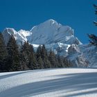 Unberührte Natur in Grindelwald