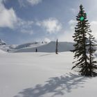 Unberührte Natur mit Gletscher im Hintergrund