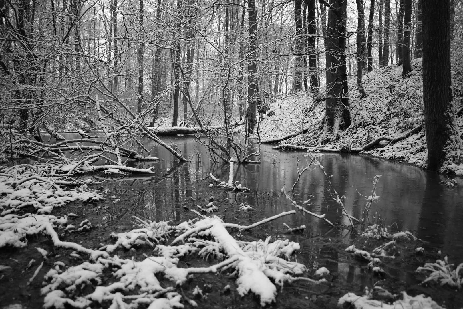 Unberührte Natur - schwarzweißer Freitag 29.1.2021