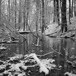 Unberührte Natur - schwarzweißer Freitag 29.1.2021