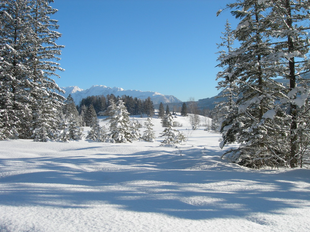 unberührte Natur Teil 2