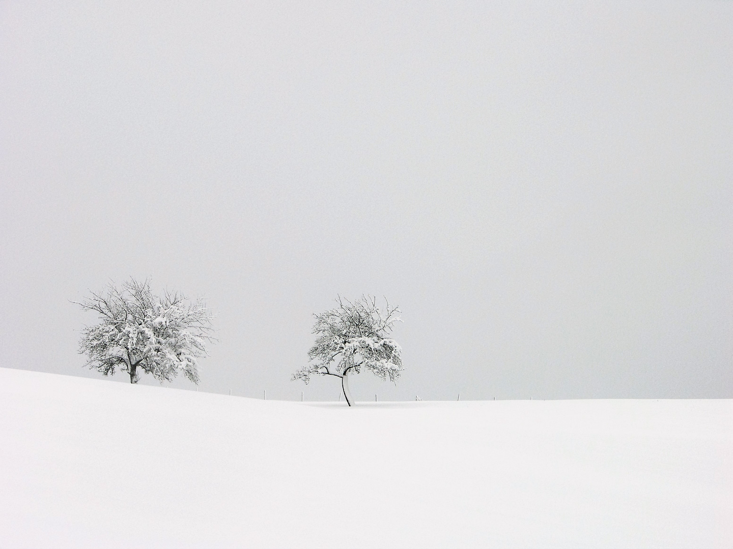 unberührte Schneelandschaft