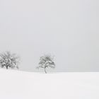 unberührte Schneelandschaft