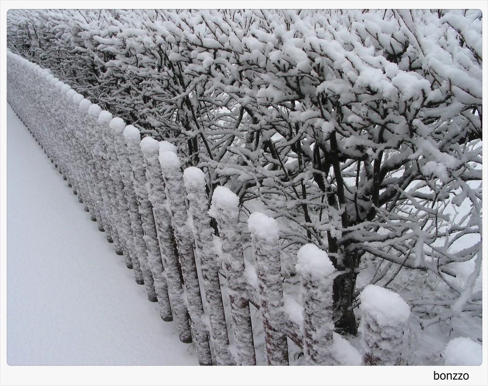 unberührte Schneelandschaft